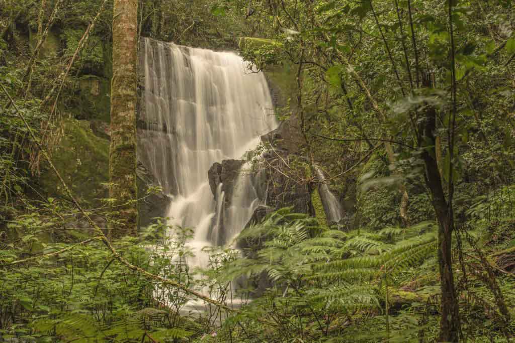 Honde Vallei Zimbabwe Eastern Highlands